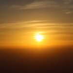 Photo high top sneakers